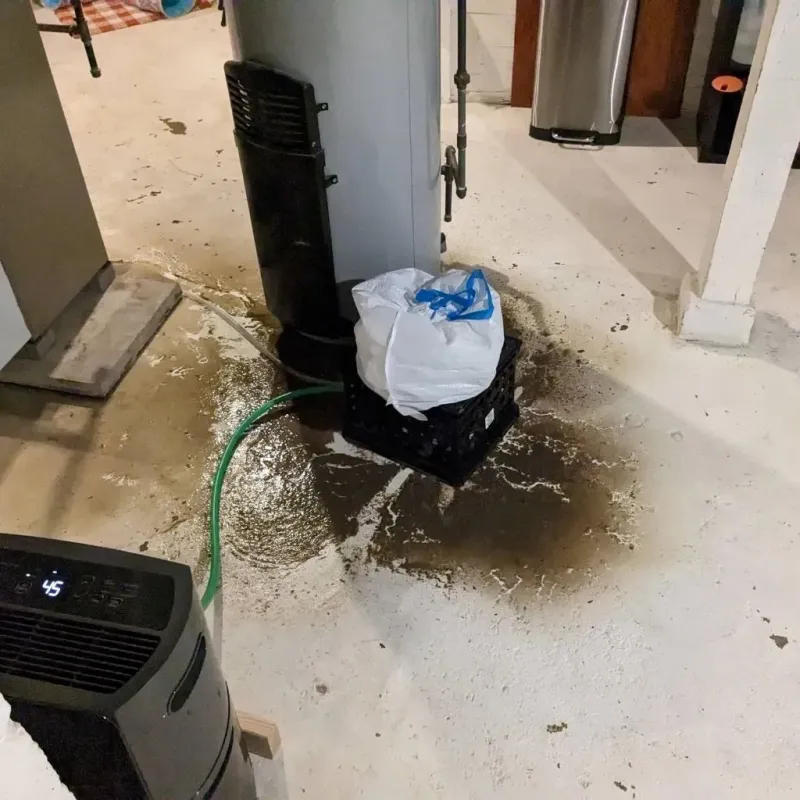 Sewage Backup Cleanup Service in Eatonville, WA